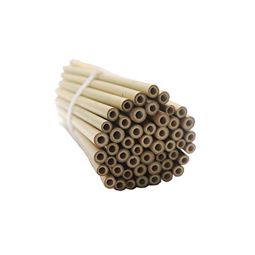 Die beste bambusrohre super idee 50 stueck bambusroehrchen wasserdicht Bestsleller kaufen