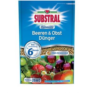 Beerendünger Substral Osmocote Beeren & Obst Dünger – 750 g