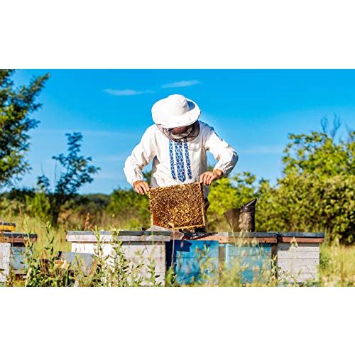 Bienenwachs molinoRC 500g 100% Reine Pastillen 500 Gramm 0,5kg