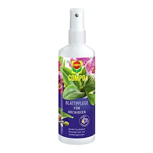 Blattglanzspray Compo Blattpflege für alle Orchideenarten, 250 ml