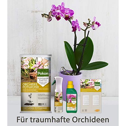 Blattglanzspray Pokon Orchideen Powerspray, 300ml