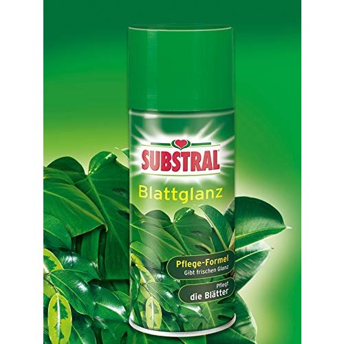 Blattglanzspray Substral Blattglanz, für alle Grünpflanzen, 200 ml