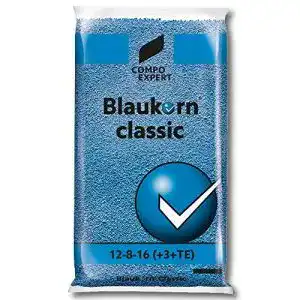 Blaukorn