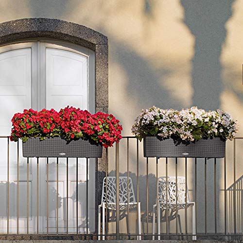 Blumenkasten Lechuza “BALCONERA Cottage 80” Pflanzgefäß