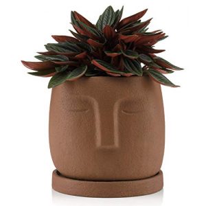 Blumentöpfe Torsteyg Blumentopf Kopf mit Untersetzer, 10cm