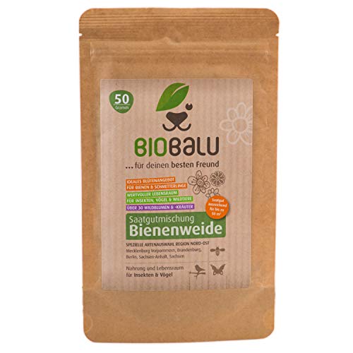 Die beste blumenwiese samen biobalu bienenweide blumenwiese 50 g Bestsleller kaufen