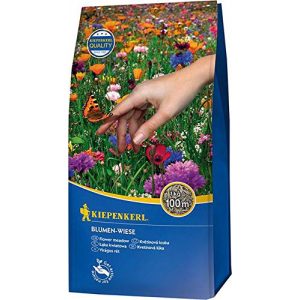 Blumenwiese-Samen Kiepenkerl Rasensamen – Blumen-Wiese 1 kg