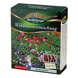 Blumenwiese-Samen Quedlinburger Blumenwiese – Wildblumen