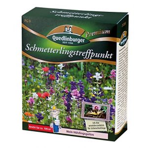 Blumenwiese-Samen Quedlinburger Schmetterlingstreffpunkt NEU