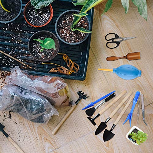 Bonsai-Werkzeug Gxhong Mini Pflanzen Werkzeug Set, 16 Stück