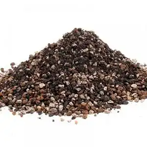 Bonsaierde