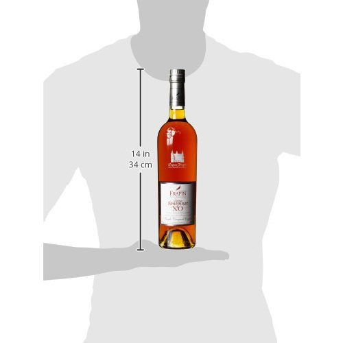 Cognac Fontpinot Cognac XO Chateau (1 x 0.7 l)