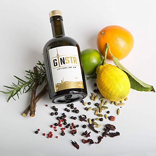 Deutscher Gin GINSTR – Stuttgart Dry Gin 44% vol (1 x 0.5 l)