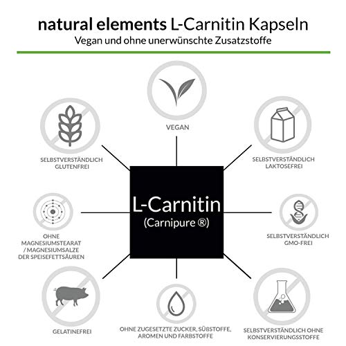 Fatburner natural elements L-Carnitin 3000 – Premium: Carnipure®