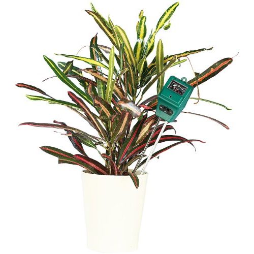 Feuchtigkeitsmesser Pflanzen Royal Gardineer 2er-Set 3in1-Kombi-