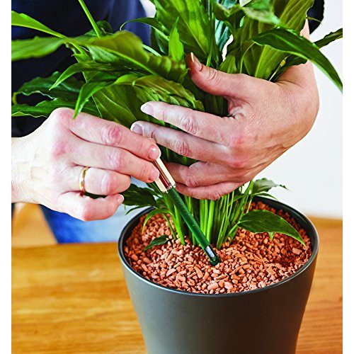 Feuchtigkeitsmesser Pflanzen Seramis Gießanzeiger groß, 26 cm 2er