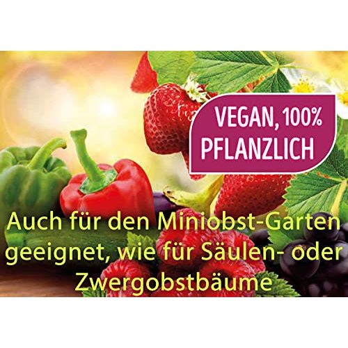 Gemüsedünger Substral Naturen Bio Obst & Gemüse Nahrung, 1 L