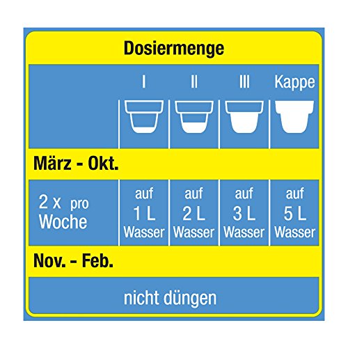 Geraniendünger Compo für Geranien Spezial-Flüssigdünger 1,3 Liter