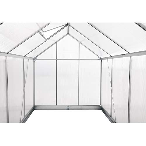 Gewächshaus Zelsius Aluminium für den Garten | 250 x 190 cm