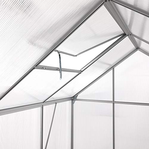 Gewächshaus Zelsius Aluminium für den Garten | 430 x 190 cm
