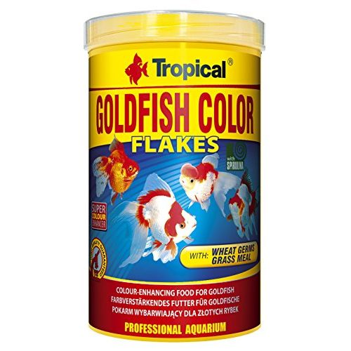 Die beste goldfischfutter tropical goldfish color farbverstaerkend 1er pack Bestsleller kaufen