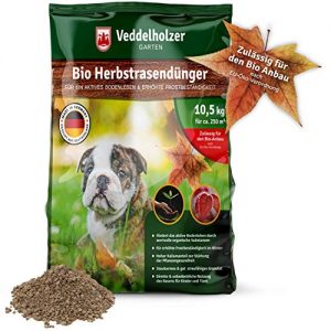 Herbstrasendünger Veddelholzer Bio mit Langzeit-Wirkung