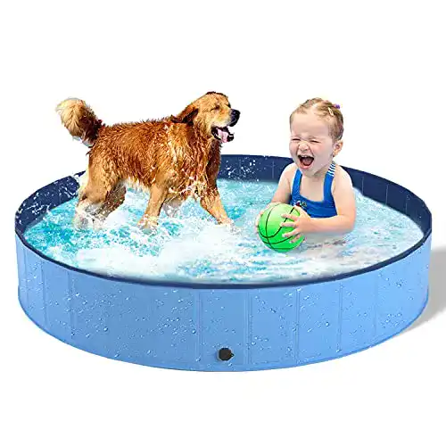 Hundepool DONO Schwimmbad Für Hunde und Katzen