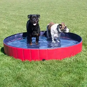 Hundepool Forever Speed ,Doggy Pool, Katzenpool, Faltbar