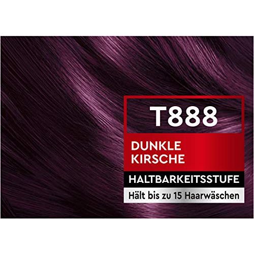Intensivtönung Brillance Glanz-Tönungsgel, Haarfarbe T888