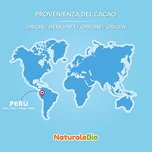 Kakaobohnen NaturaleBio Roh Kakao Nibs Bio 1Kg. Organic Raw