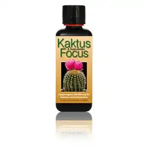 Kakteendünger Kaktus Dünger Focus 300ml Flüssigdünger