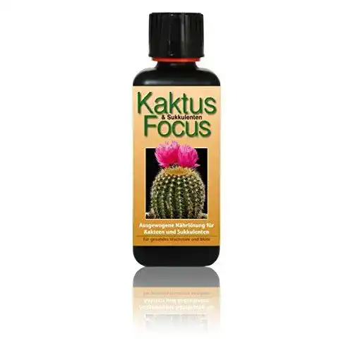 Kakteendünger Kaktus Dünger Focus 300ml Flüssigdünger