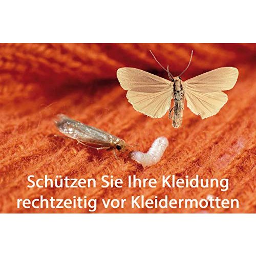 Kleidermottenfalle Nexa Lotte Kleider- & Textil-Mottenfalle, 2 Fallen