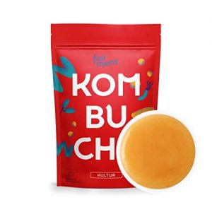 Kombucha Fairment Original Tee Pilz in Premium Größe