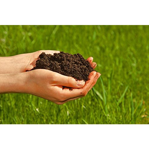Kompostwürmer DaWurmbauer kaufen – 250 Stück