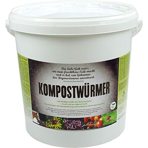 Die beste kompostwuermer natursache kompostwuermer 250 stk box Bestsleller kaufen