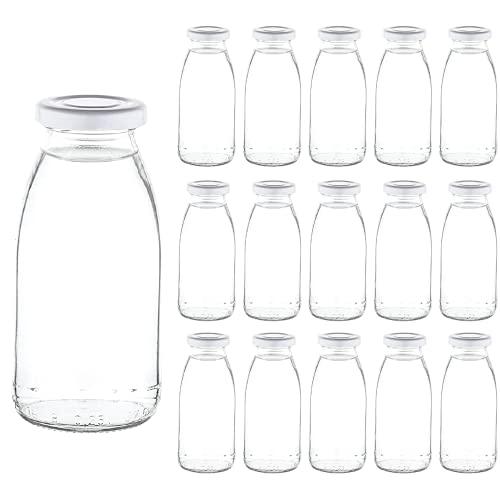 Die beste milchflasche casavetro 15 oder 24 x 250 ml leere glasflaschen Bestsleller kaufen
