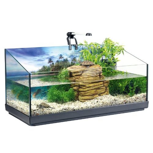 Die beste nano aquarium tetra repto aqua set komplettset Bestsleller kaufen