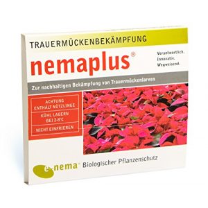 Nematoden nemaplus ® SF zur Bekämpfung von Trauermücken