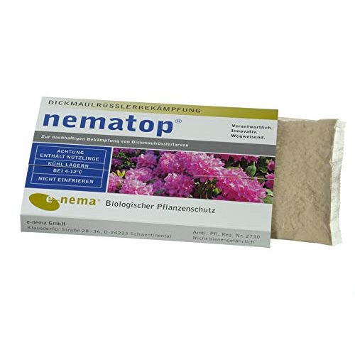 Nematoden nematop ® HB zur Bekämpfung des Dickmaulrüsslers