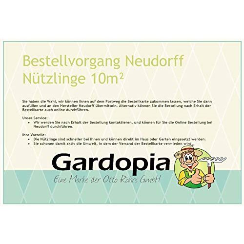 Nematoden Neudorff Bestell-Set – Nützliche Insekten für bis 100m²