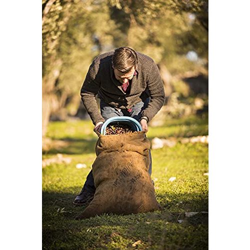 Olivenöl Jordan Olivenöl – Natives, Kaltextraktion 1,00 Liter