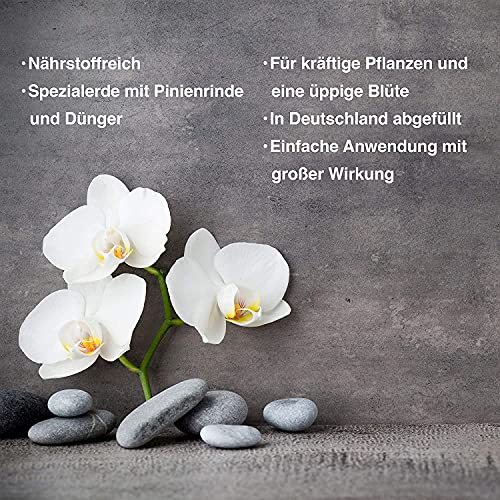 Orchideenerde Jasker’s JASKERS® Mit Dünger 30 L | Luftig Locker