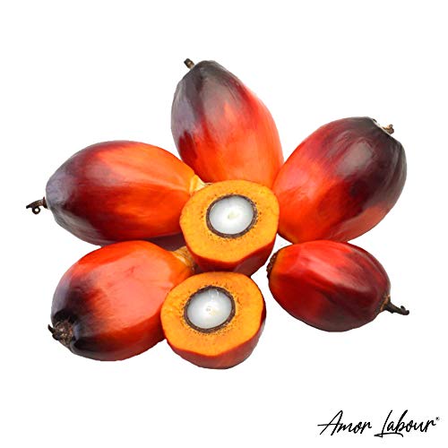 Palmöl AMOR LABOUR | Palm Oil | Palmfett | 100% Natural 1000ml