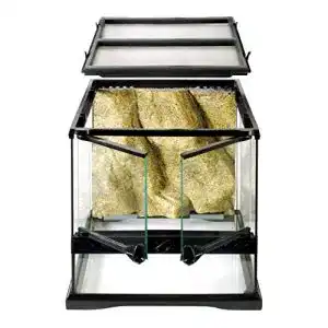 Paludarium