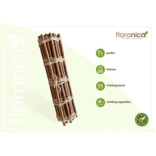 Rankgitter (Holz) Floranica ® Rankhilfe | Rankgitter | Länge 200cm