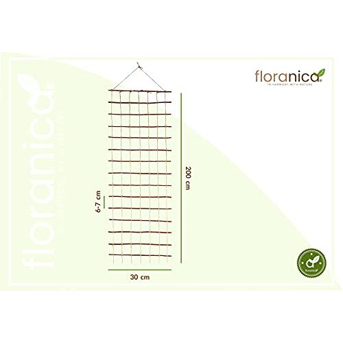 Rankhilfe Floranica ® | Rankgitter für Kletterpflanzen | Länge 200cm