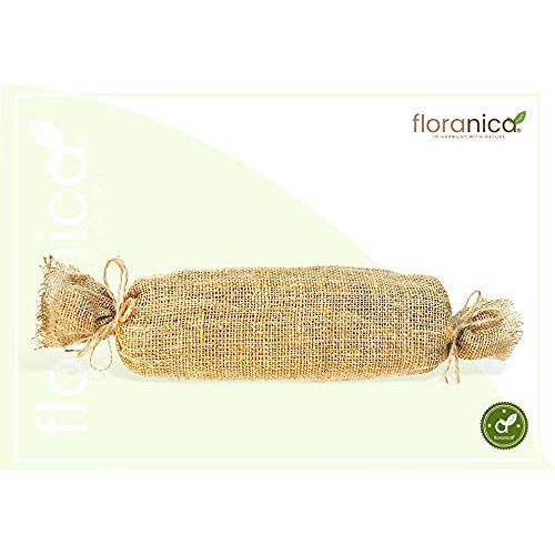 Rankhilfe Floranica ® | Rankgitter für Kletterpflanzen | Länge 200cm