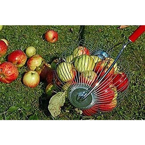 Rollsammler HorTera Apfelsammler – mit plastikfreiem Sammelkorb