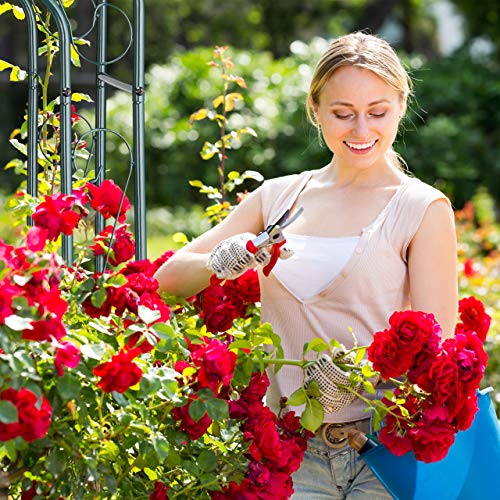 Rosenbogen mit Tür Relaxdays , Garten Rankhilfe Kletterpflanzen